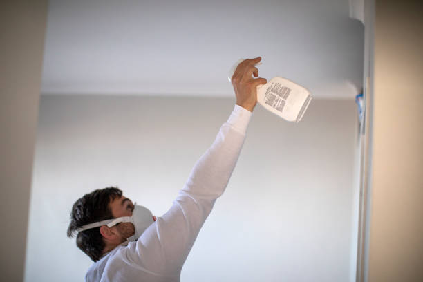 Best Insurance-Related Mold Remediation in Atlantic City, NJ